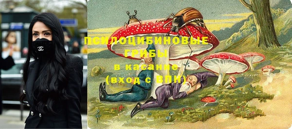 марки nbome Белокуриха