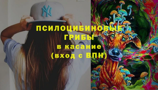амф Козельск