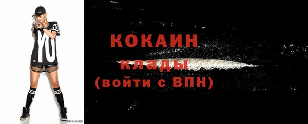 дмт Козловка