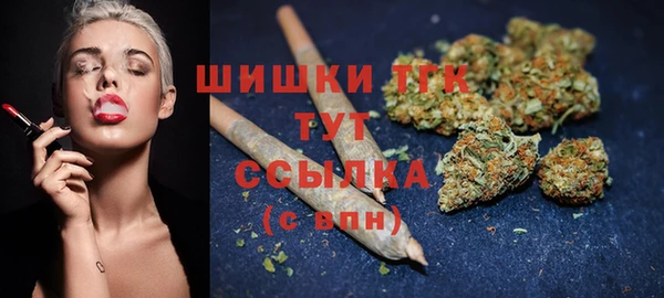 дмт Козловка