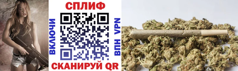Конопля Bruce Banner  Трёхгорный 